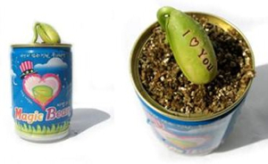 Word-Sprout-Magic-Bean