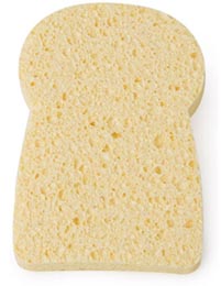 sandwichsponge.jpg