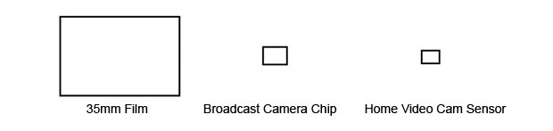 chip-size1.jpg