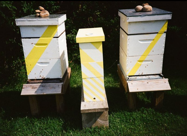 Chandelier-hives.jpg