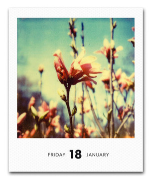 2013-Calendar-Poladarium.jpg