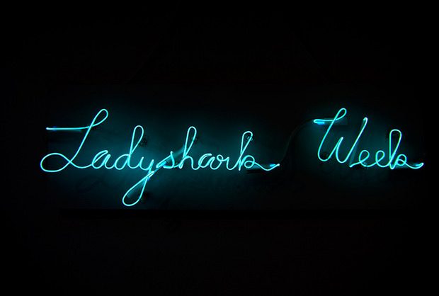 ladyshark-7.jpg