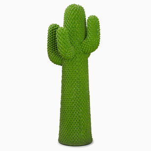 cactus-larcobaleno.jpg
