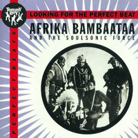 afrika-bambaataa-looking-perfect-beat.jpg