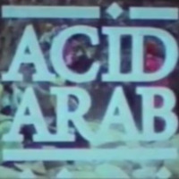acid-arab-berberian-wedding.jpg