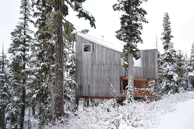 alpine-cabin-scott-scott-architects-architizer-awards.jpg