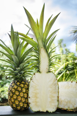 Sugarloaf-Pineapple-2.jpg