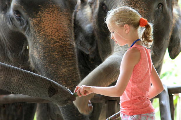 ElephantHills-Thailand-06.jpg