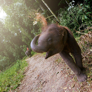 elephant-hills-thailand-10.jpg
