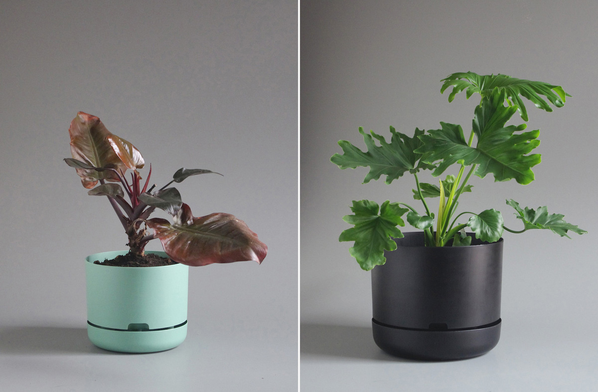 cool plant pots