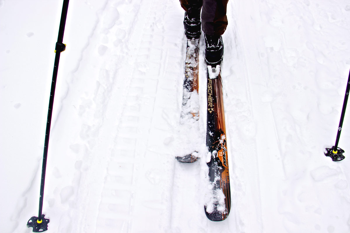 nordic-skiing-basics-2.jpg