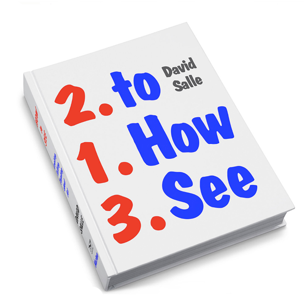 david-salle-how-to-see-book-01-153623