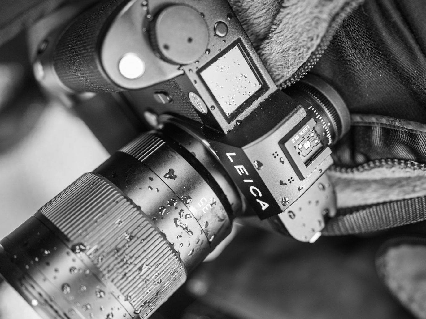 Field Test: Leica’s Versatile SL2 - COOL HUNTING®