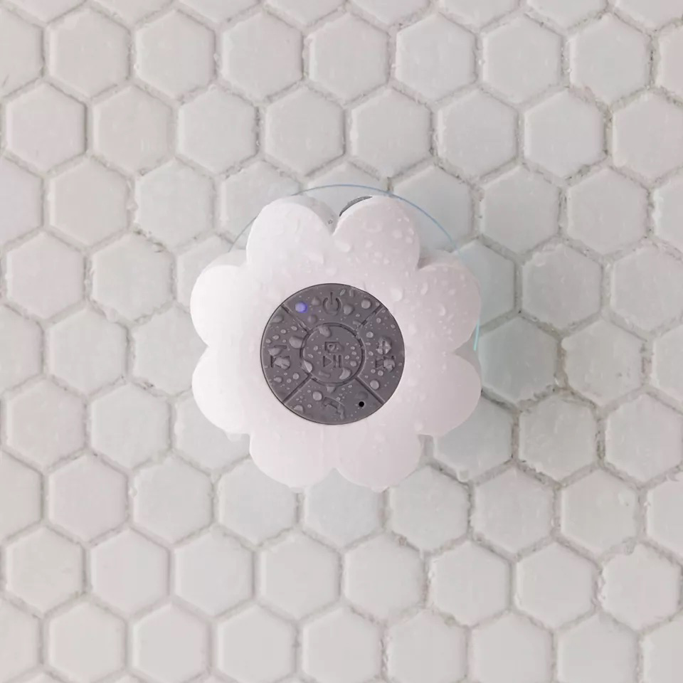 daisy-speaker-shower