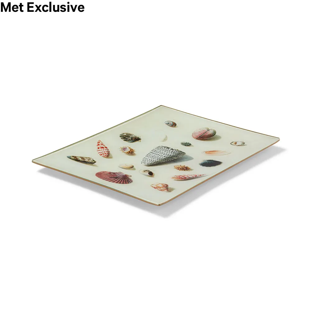 Shells and Crustaceans III Decoupage Tray