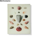 john-derian-shells-and-crustaceans-iii-decoupage-tray