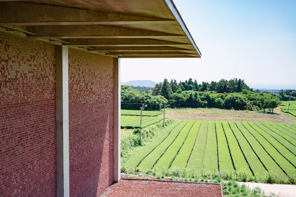 Osulloc tea factory and field on jeju island, south korea