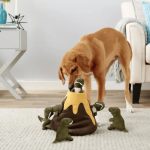 Volcano_Dinasaur_Dog_Toy_Playing