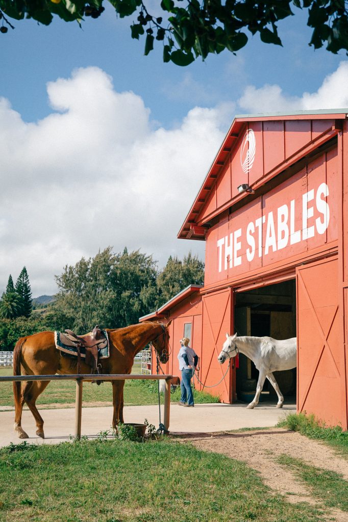 stables-barn_20210527_7077_web-only