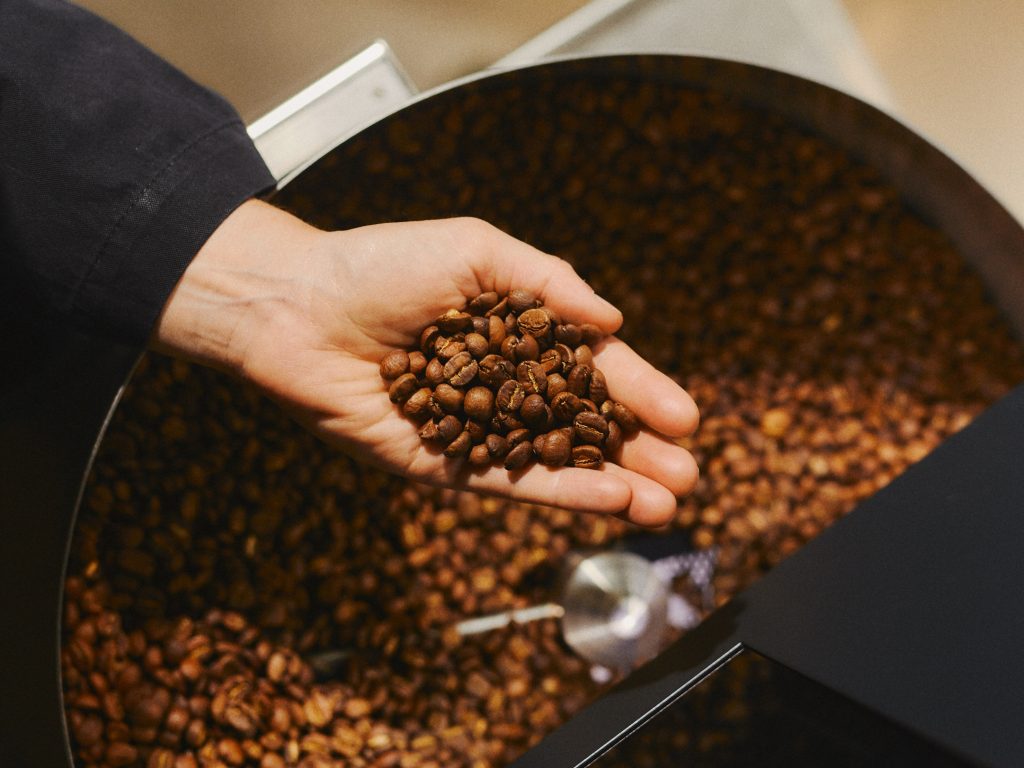 A person holds a handful of roasted coffee beans